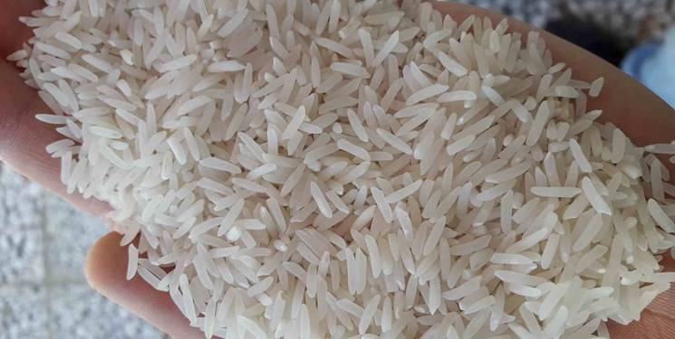 دعوای آماری بین کشاورزان و وارد کنندگان برنج