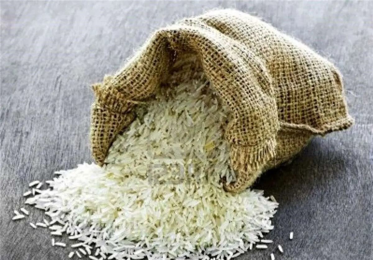 برنج پاکستانی و هندی گران شدند؛ قیمت جدید اعلام شد