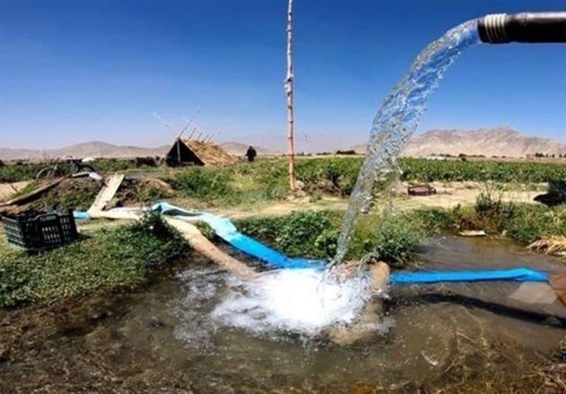 وزارت نیرو به جای پلمب از مالکان چای های غیر مجاز پول می‌گیرد