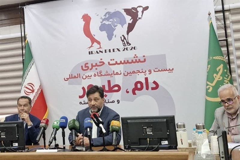 تأمین مالی؛ چالش اصلی خوراک دام پس از حذف ارز ترجیحی شده