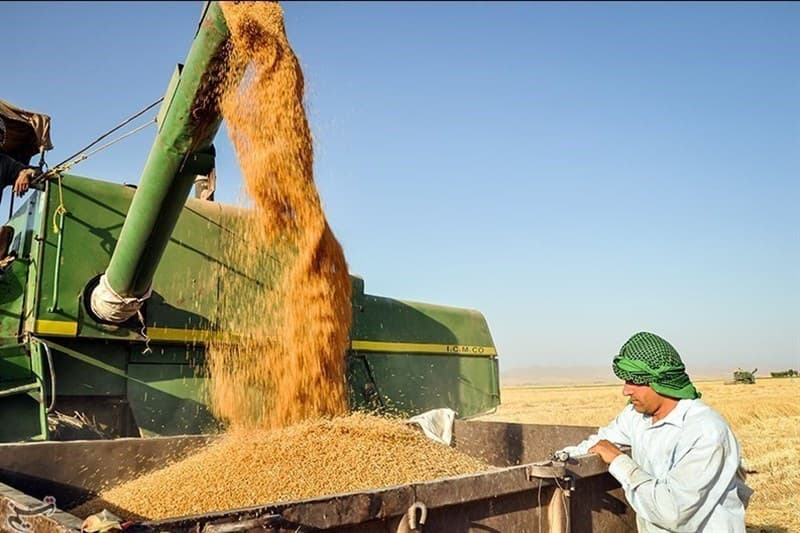 قیمت گندم در جلسه آتی شورای قیمت‌گذاری محصولات اساسی مشخص می‌شود