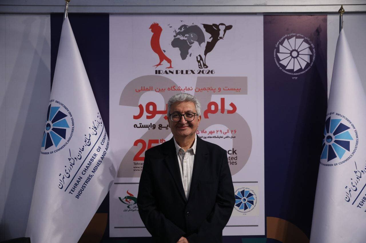 ضرورت مدیریت مازاد تولید برای جلوگیری از زیان مرغداران