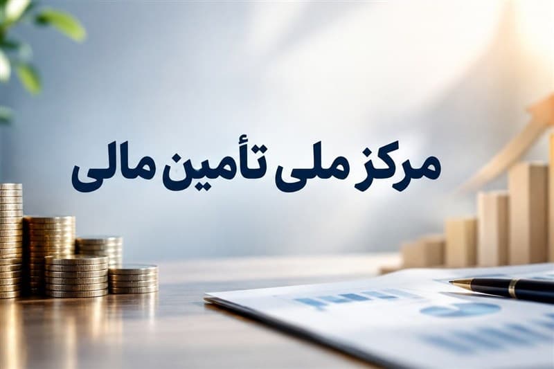 عرضه خصوصی اوراق در بازار سرمایه/تأمین مالی زنجیرهای12 برابر شد