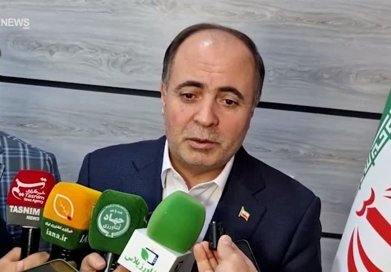تسویه مطالبات گندمکاران تا سهشنبه/ نرخ خرید گندم به زودی اعلام می شود