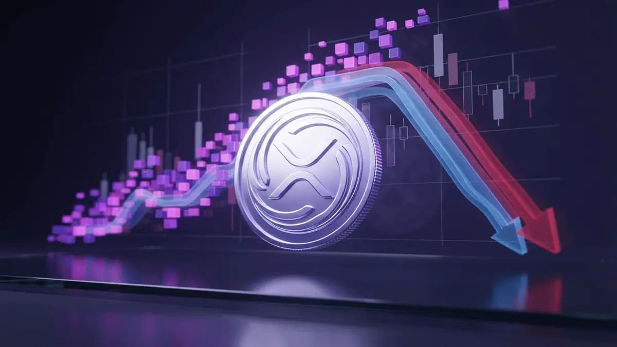 فاصله بازار استیبل کوین ریپل با پی پال به 248 میلیون دلار رسید