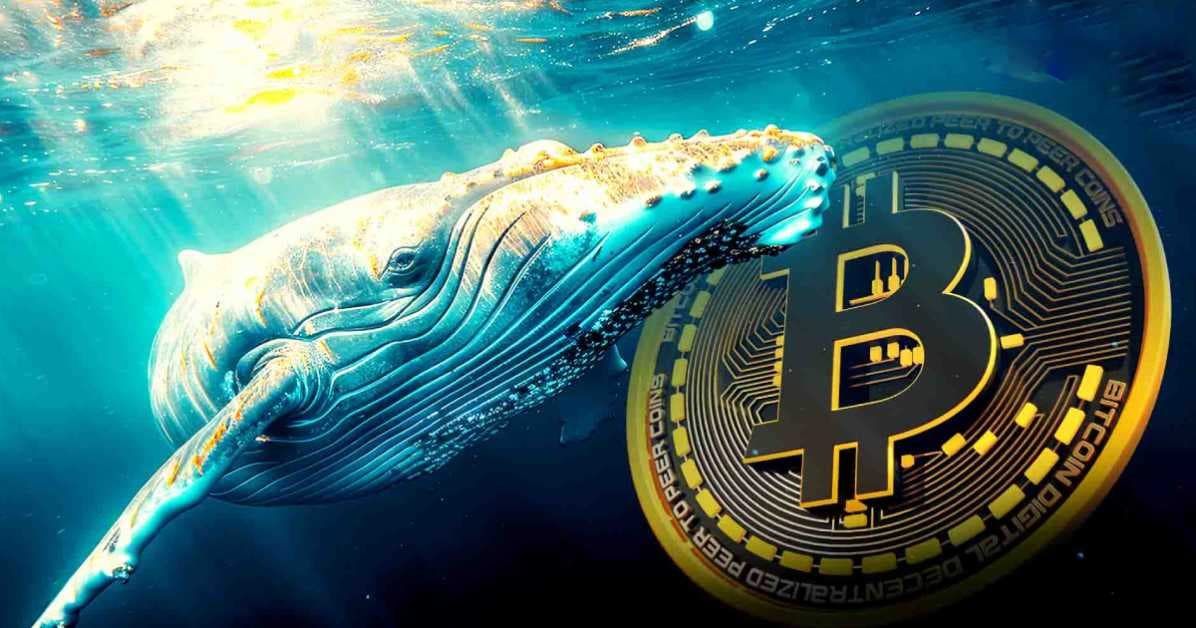 دو نهنگ بیت کوین پس از 13 سال بیدار شدند؛ حالا سرمایه شان 480 برابر شده است!