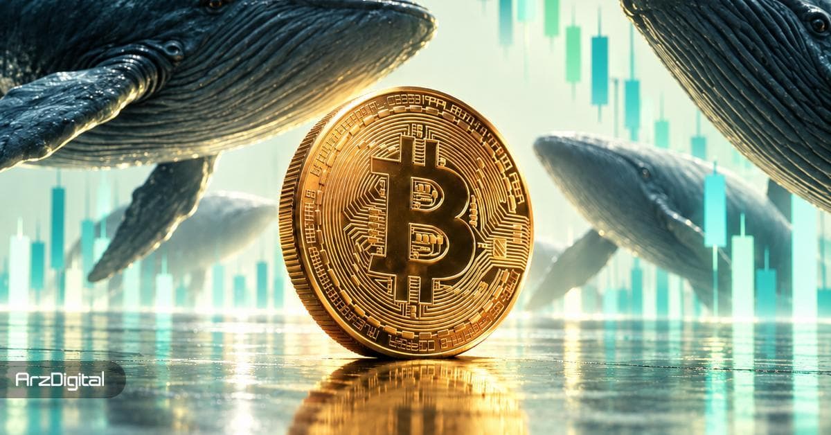 ظهور دو سیگنال متضاد در بیت کوین که می توانند سرنوشت قیمت را تغییر دهند