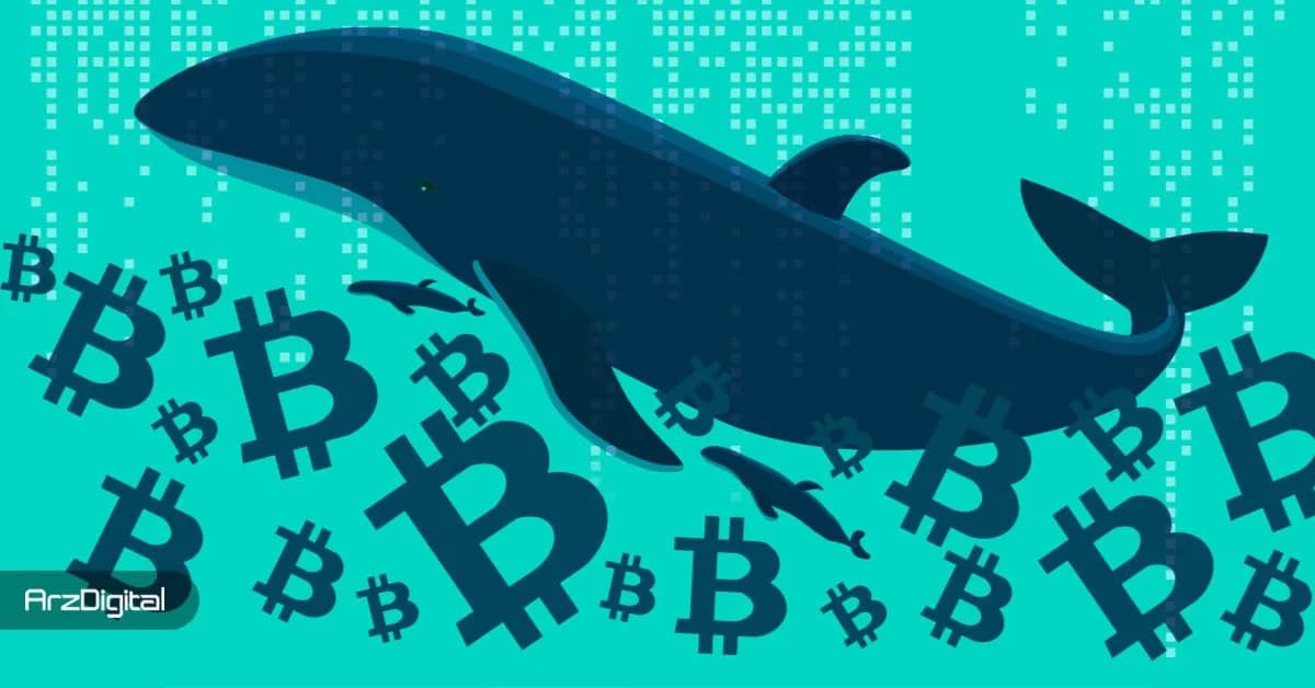احتمال فروش بیت کوین توسط سرمایه گذاران خرد؛ نهنگ ها فعلا عقب نشسته اند