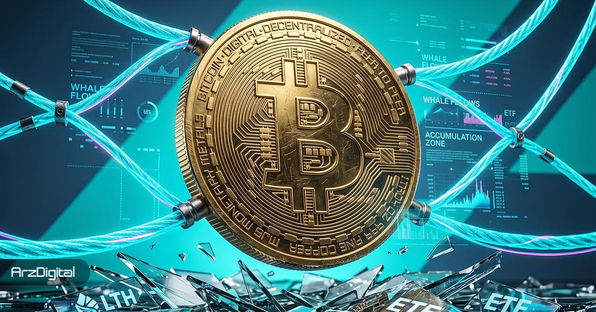 خرید بیش از 11 هزار بیت کوین توسط یک نهنگ ناشناس در میانه ریزش ها