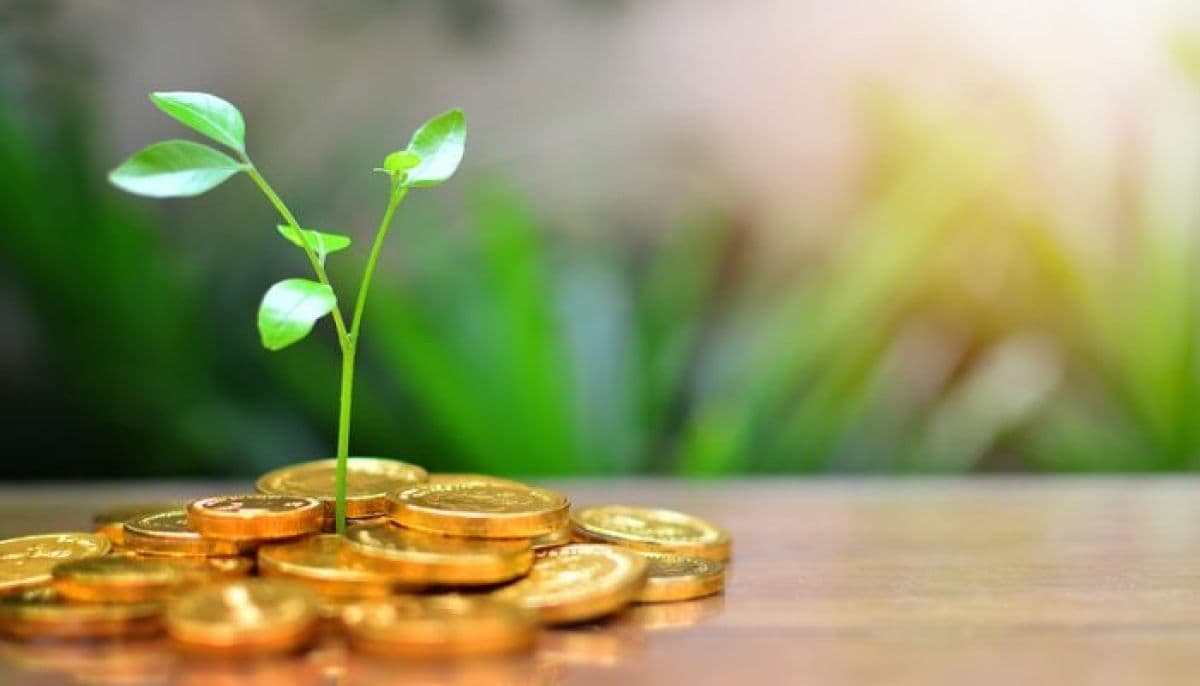 کدام صندوق را انتخاب کنیم؟