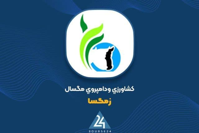 جهش 146 درصدی درآمد «زمگسا»؛ عبور فروش 6 ماهه از مرز 1.3 همت