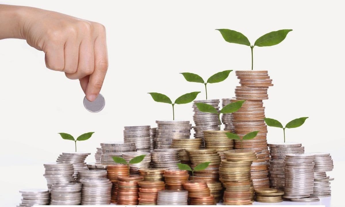 افشای اطلاعات مهم در «سلیم» و«شفام»؛ اقدام برای اعتراض به رای بدوی پرونده سنواتی «وایران»