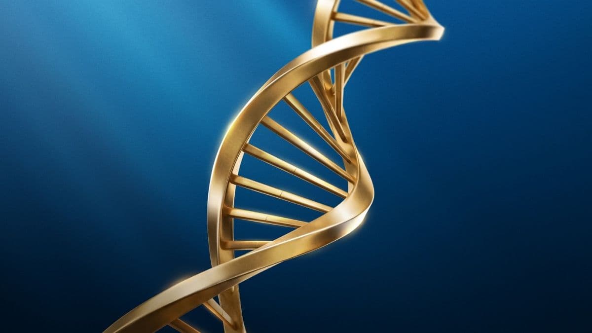 صندوق مثقال؛ بهترین روش سرمایه گذاری در طلا