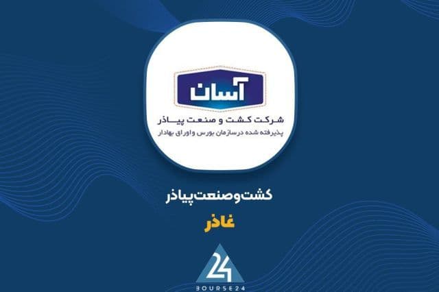 ثبت درآمد 150 میلیارد تومانی پیاذر در شهریور 1405