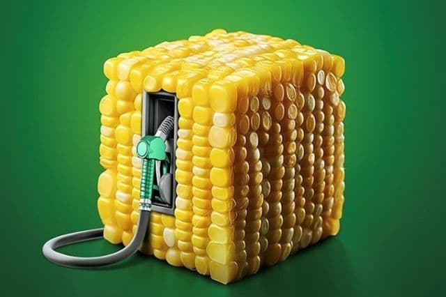 گام استراتژیک «شگستر» برای مقابله با ناترازی گاز؛ انعقاد قرارداد احداث واحد ذخیره سازی و بارگیری LPG