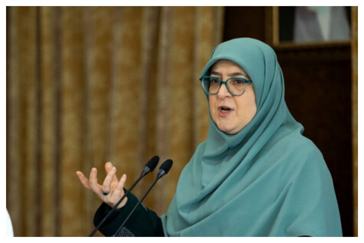 توضیح سخنگوی دولت درباره استعفای محسن پاکنژاد/ ایشان علاقهمند بودند که استعفا دهند