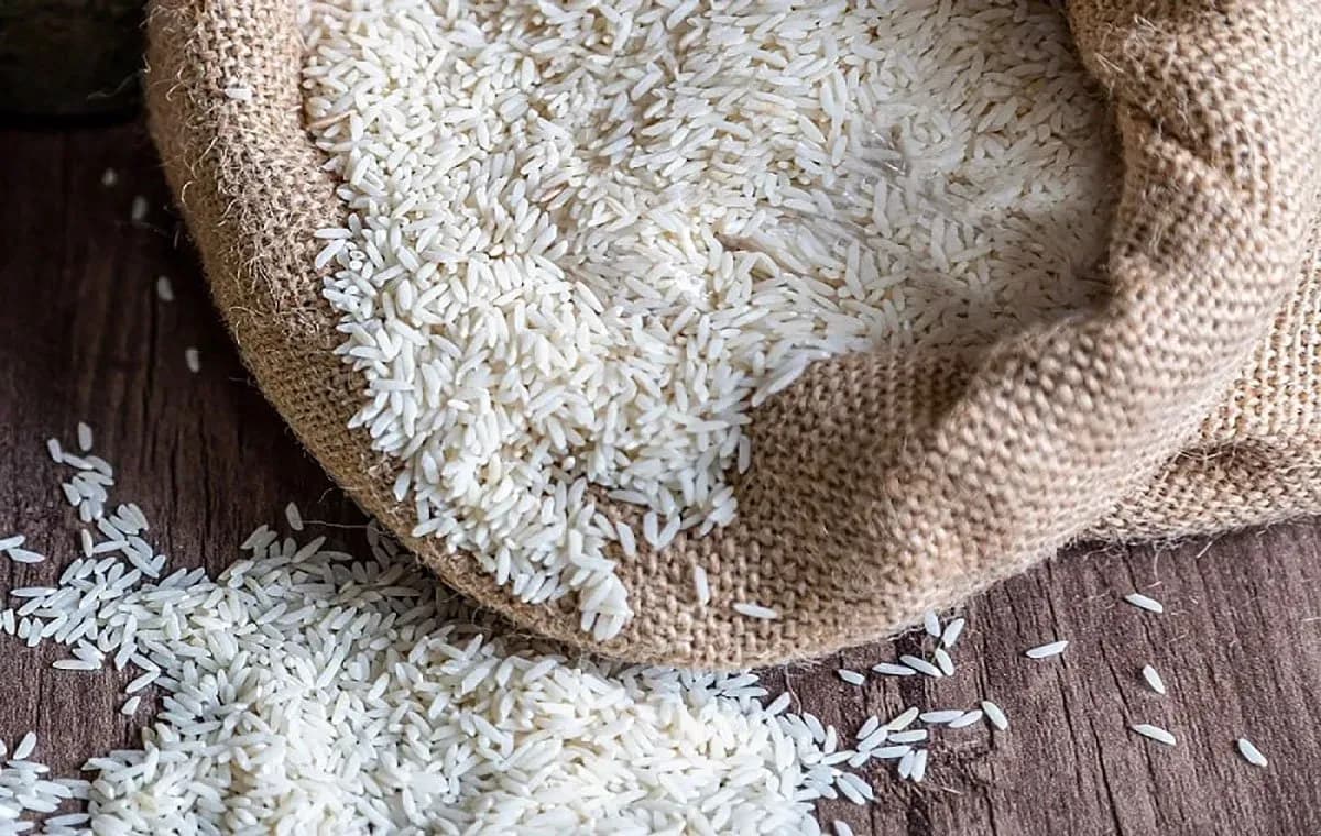 چراغ سبز گمرک برای ورود برنج وارداتی / قیمتها بالاخره میشکند؟