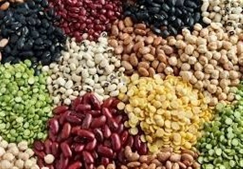113 درصد اختلاف قیمت لوبیا در بازار با وجود تخصیص ارز مبادلهای
