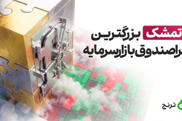 «تمشک» بزرگترین فرا صندوق بازار سرمایه