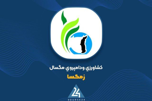 جهش 146 درصدی درآمد «زمگسا»؛ عبور فروش 6 ماهه از مرز 1.3 همت