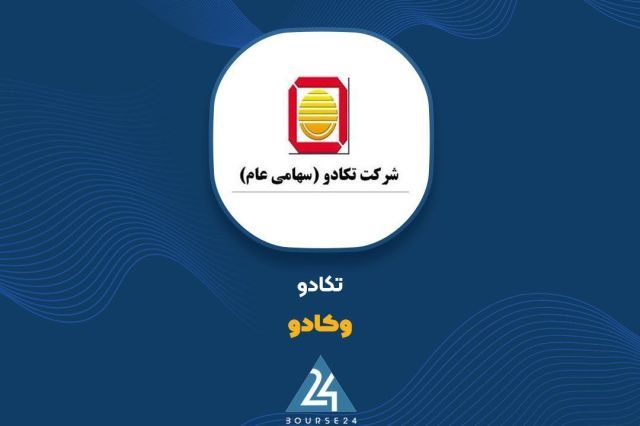 استراتژی موفق «وکادو» در مدیریت دارایی ها؛ تکیه بر سهام بنیادی