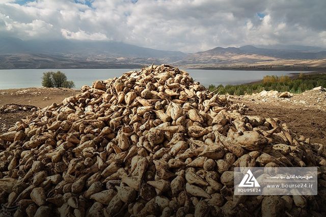 تحقق سود 292 تومانی هر سهم در «قپیرا»
