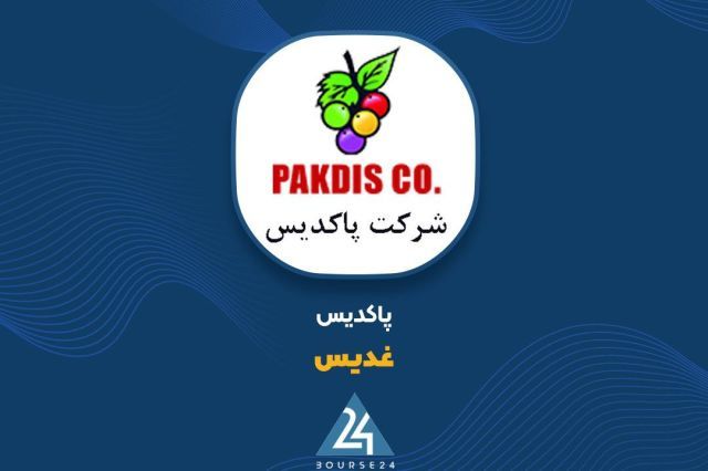 پاکدیس 4.9 هزار میلیارد تومان فروش را در 6 ماه ثبت کرد