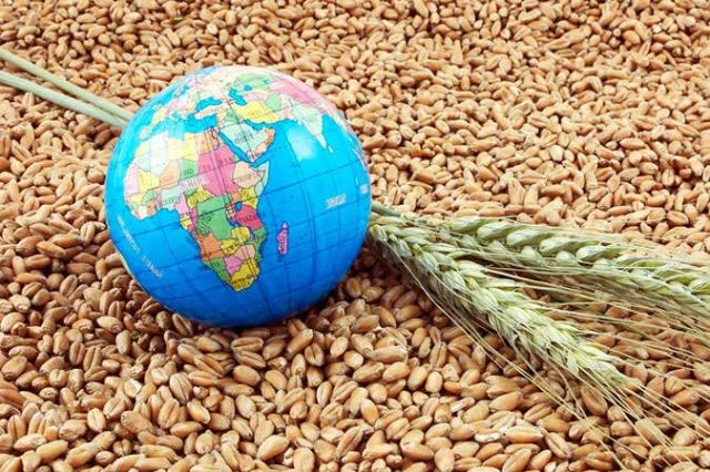 وال استریت ژورنال: جهان در آستانه یک بحران غذایی است