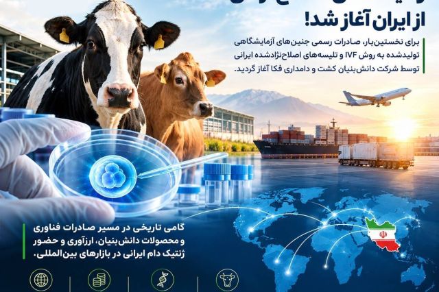 صادرات ژنتیک دام ایرانی به بازارهای بین المللی کلید خورد؛ فکا پیشگام صادرات جنین های آزمایشگاهی و تلیسه های اصلاح نژادی