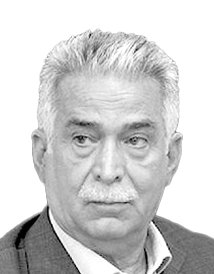 &nbsp;محمدرضا بهرامن