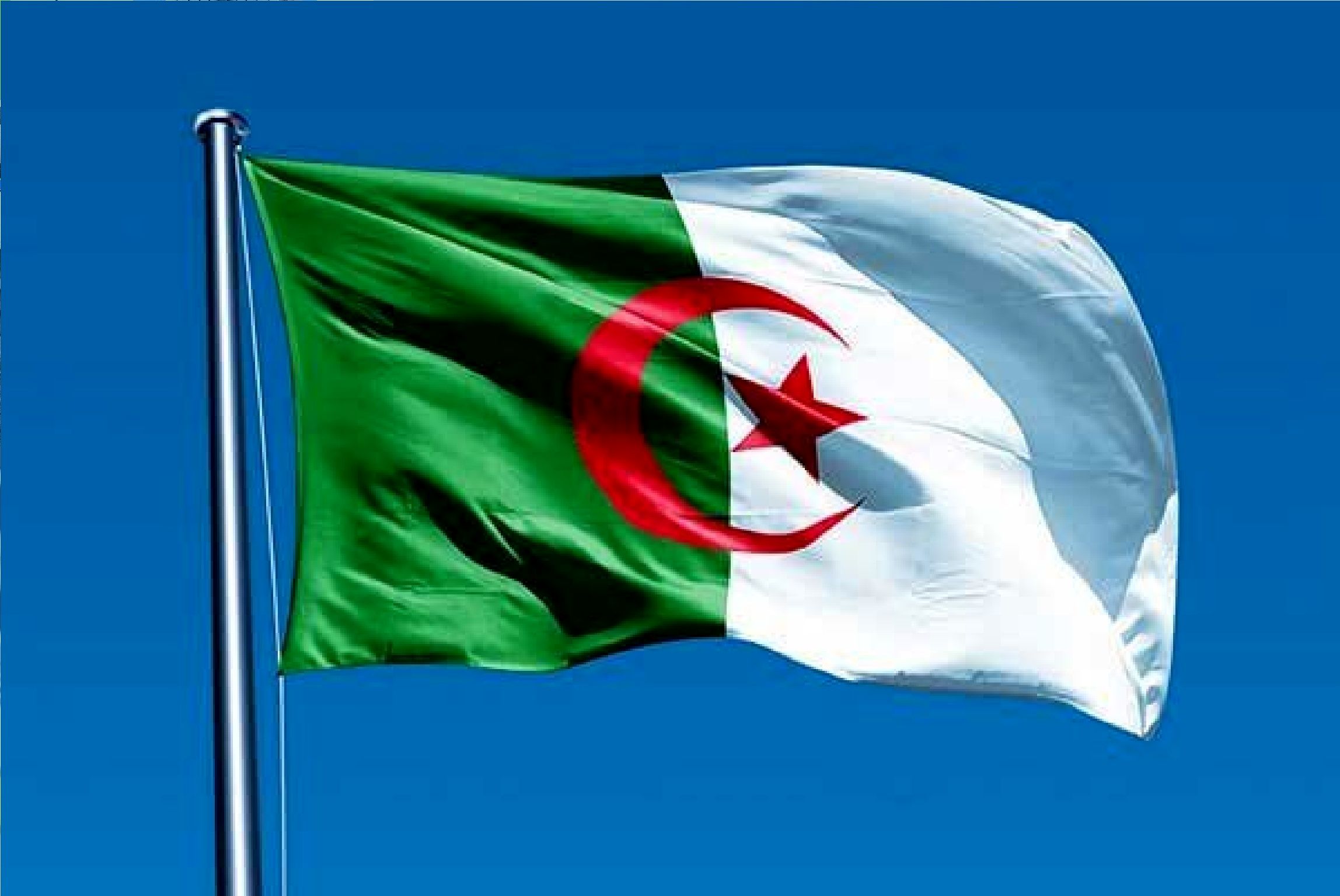 یک کشور عربی بر تداوم قطع روابط دیپلماتیک با امارات تاکید کرد/ کارد به استخوان رسیده است
