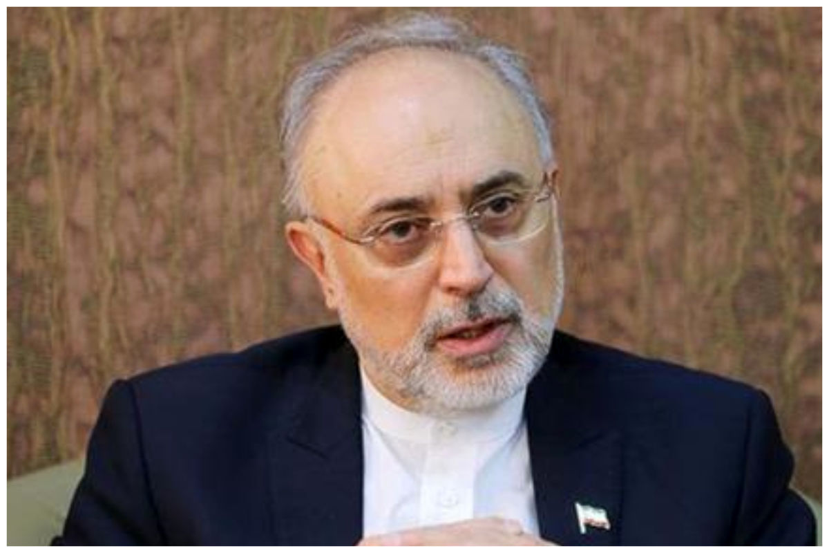 علی‌اکبر صالحی: پرچم به یک ملت تعلق دارد، نه صرفاً به دولت حاکم/ بی‌حرمتی به پرچم کشوری که آن را به رسمیت می‌شناسیم، خردمندانه نیست
