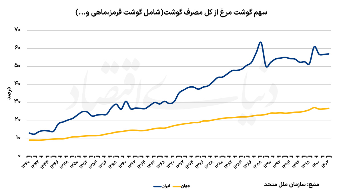 سهم مرغ copy