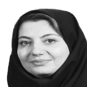 درس‌هایی از چارچوب بانکوک 