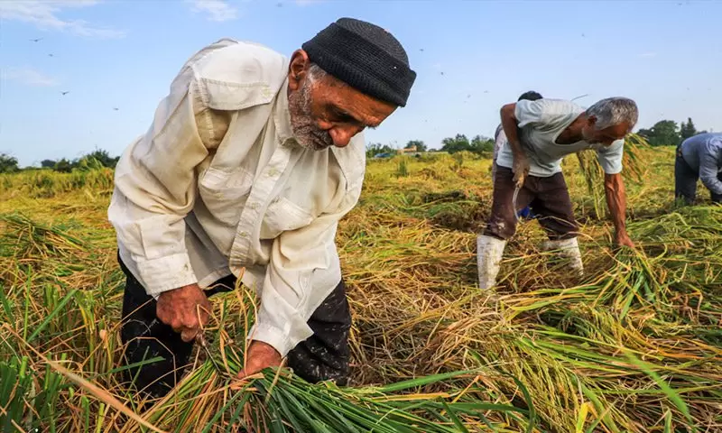 توافق دولت و مجلس برای تغییر شرایط بازنشستگی | با 10 سال پرداخت بیمه حقوق دریافت کنید