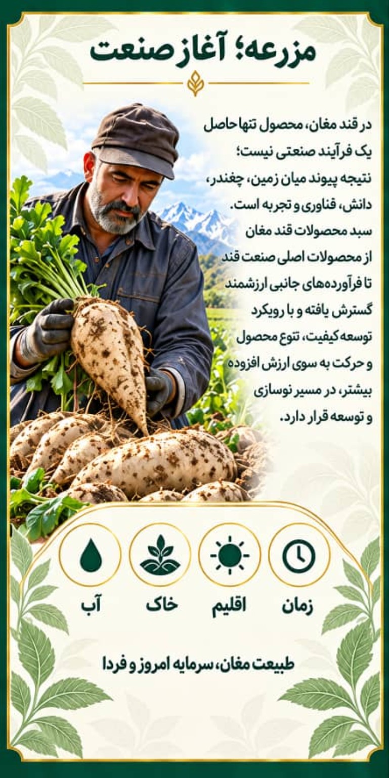 مسیب سلطانی و قند مغان - تصویر 7